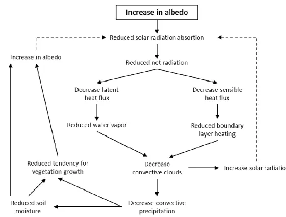 Figure  5  -  Conceptual diagram of possible impacts  derived from a decrease in  surface  roughness