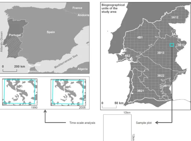 Figure 1 - Study area, biogeographic boundaries and 10x10 km UTM squares