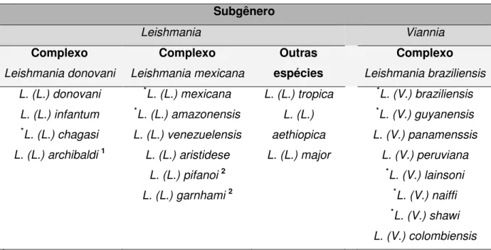 Tabela 1. Espécies do gênero Leishmania  de maior interesse em Parasitologia Humana de  acordo com a classificação proposta por Lainson e Shaw, 1987 