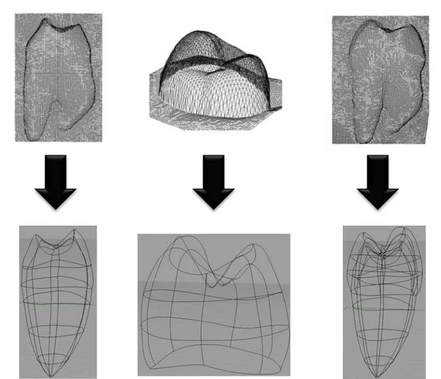 Figura  3.  Arquivo  *.STL  exportado  para  o  software  CAD  para  realização  das  superfícies NURBS (Soares et al., 2013a)