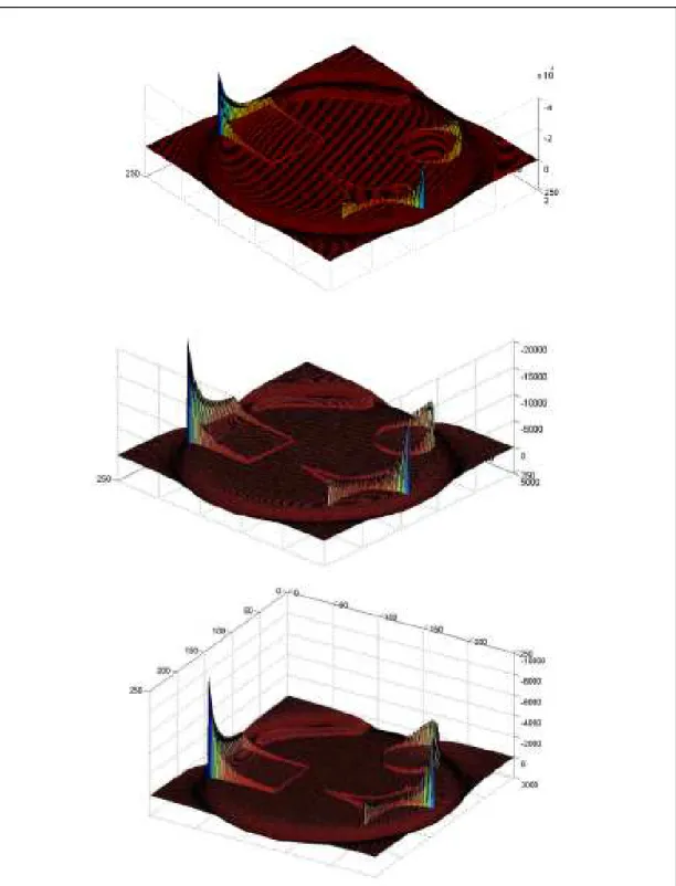 Figure 13 This sequence of images shows the surfaces of  φ  using  λ = 100 . The segmentation of  the image was achieved in the first iteration (first image) but it was not achieved the convergence  of  φ  as the surfaces of the 2nd and 11 th  iterations s