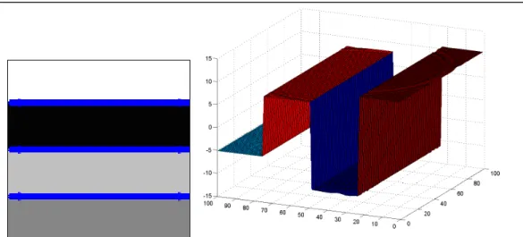 Figure 19A) On the left is the image used and the resulting segmentation. On the right is  represented the surface  φ 