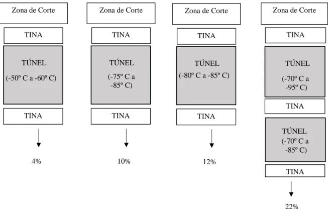 Figura 11: Procedimento do processo de vidragem do bacalhau a diferentes percentagens de água de vidragem.