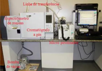 Figura 3.4: Sistema de micro pir´olise acoplada `a cromatografia gasosa e espectrometria de massas.
