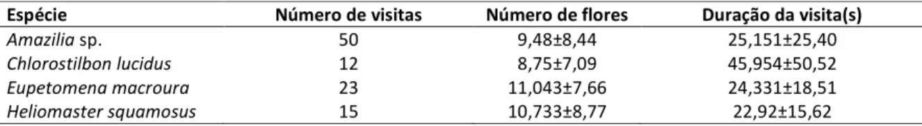 Tabela 3. Número de visitas, número de flores e duração das visitas realizadas por Amazilia sp., Chlorostilbon  lucidus, Eupetomena macroura e Heliomaster squamosus em Esterhazya splendida