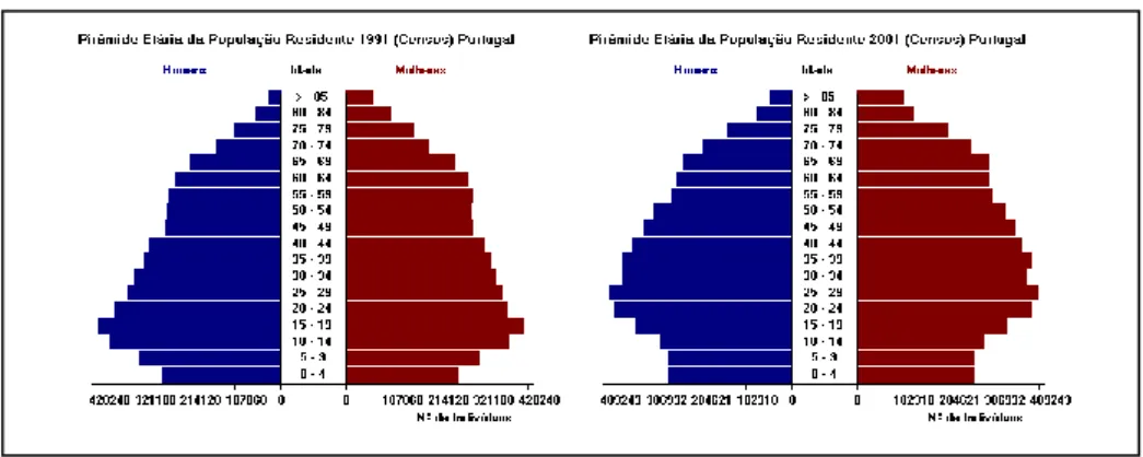 Figura 1: Pirâmides demográficas 1991-2001 
