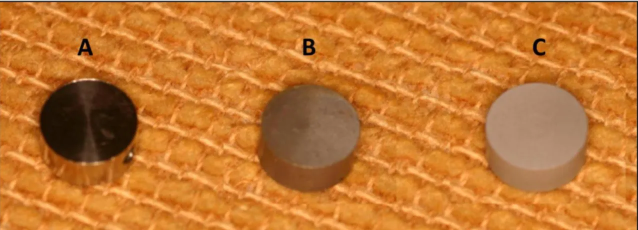 Figura 1: Discos de titânio com diferentes tratamentos de superfície similares a  implantes  disponíveis  comercialmente:  (A)  usinado  (Screw),  (B)  ataque  ácido  (Porous) e (C) anodizado com CaP (Vulcano)