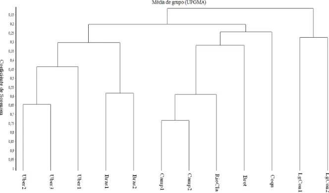 Figura  3.3.  Dendrograma  de  similaridade  florística  entre  12  áreas  de  mata  de  galeria  inundáveis no Bioma Cerrado