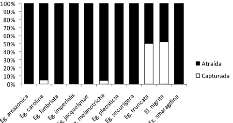 Figura  8.  Porcentagem  de  indivíduos  atraídos  ou  efetivamente  capturados  pelas  armadilhas  durante  a  realização  do  estudo  nas  Fazendas  do  Glória  e  São José, Uberlândia - MG