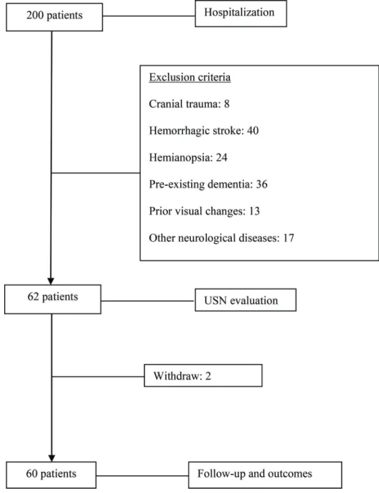 Figure 1 - Flow diagram of the patients included in the study.