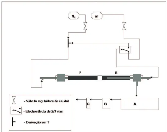 Figura 12 – Esquema das conexões e sentido dos caudais dos gases de arraste. 