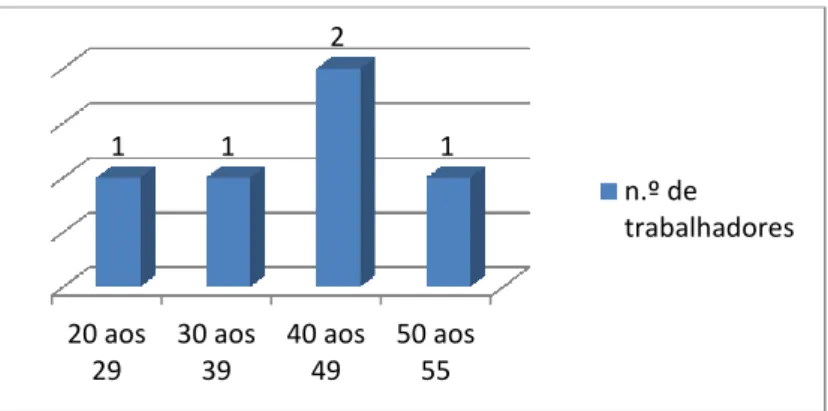 Gráfico 2 - Distribuição dos trabalhadores de acordo com a idade 
