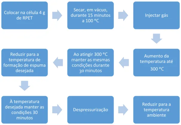 Figura 21 - Fluxograma do procedimento utilizado.