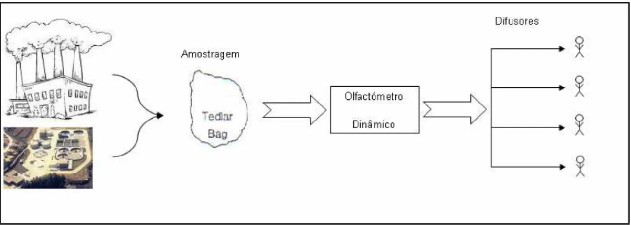 Figura 2.1 – Esquema representativo do processo de olfactometria dinâmica 