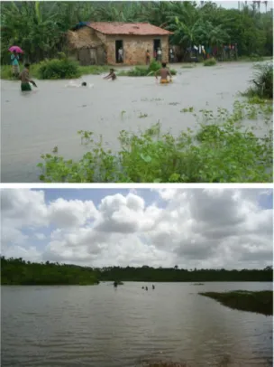 Figura  6:  Itamatatiua  em  período  de  cheia  (acima)  e  Rio  Apicum,  em  Santo  Inácio,  no  mesmo período (abaixo)