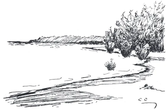 Figure 2: Boim beach, drawn by Cândido Craveiro (Source: Craveiro, 1915a, p.151)