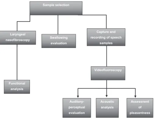 Fig. 1 Procedures performed in the study.