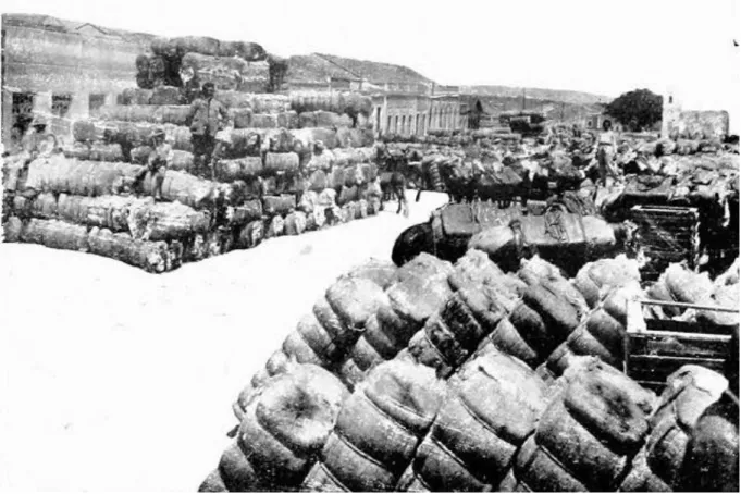 Figura 3 - Fardos de algodão na Rua Marquês do Herval 7 , 1920. Fonte: Annuário de Campina Grande
