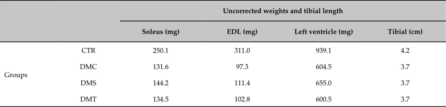 Table 4 - Demonstration of uncorrected weights in relation to the tibial length; soleus muscle, EDL muscle, left ventricle  and tibial length