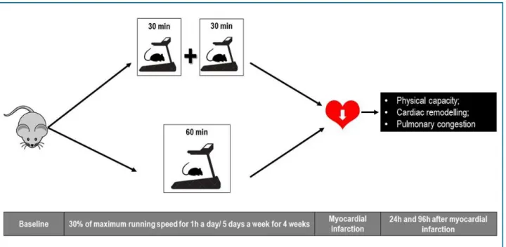 Figure 1 - Experimental design of the current study.