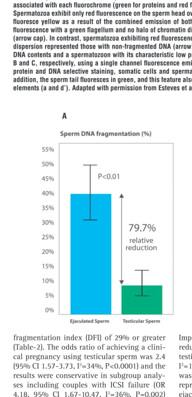 Figure 1 - Comparison of sperm DNA fragmentation rates in ejaculated and testicular sperm of 81 infertile men  undergoing ICSI: (A) Use of testicular sperm for ICSI resulted in an absolute reduction of 32.6% (relative reduction  of 79.7%) in SDF; (B) Sperm