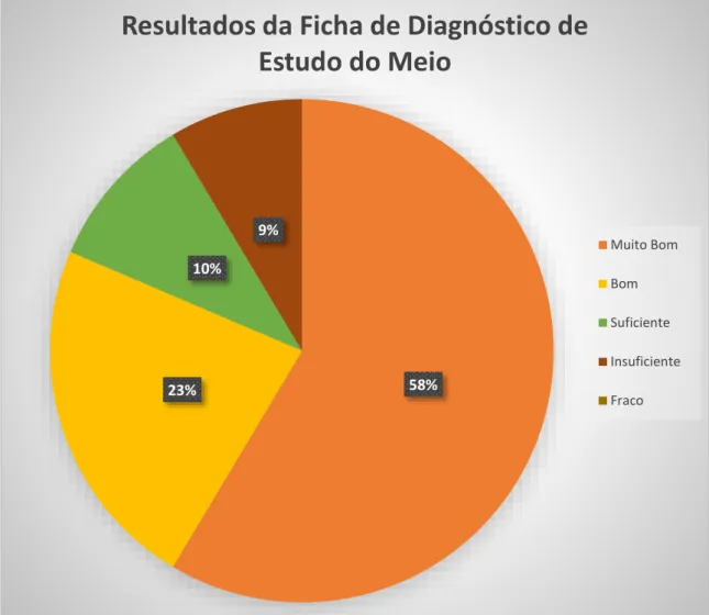 Figura 14- gráfico dos resultados do teste diagnóstico de Estudo do Meio 23%58%