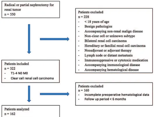 Figure 1 - Flow chart of patients who met study inclusion / exclusion criteria.