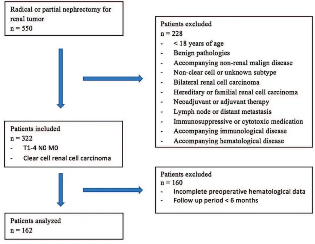 Figure 3 - Optimal cut-off levels for (A) albumin / globulin ratio (AGR), (B) neutrophil / lymphocyte ratio, (C) platelet /  lymphocyte ratio (PLR), and (D) lymphocyte / monocyte ratio(LMR) were applied with receiver operating characteristic (ROC)  curves 