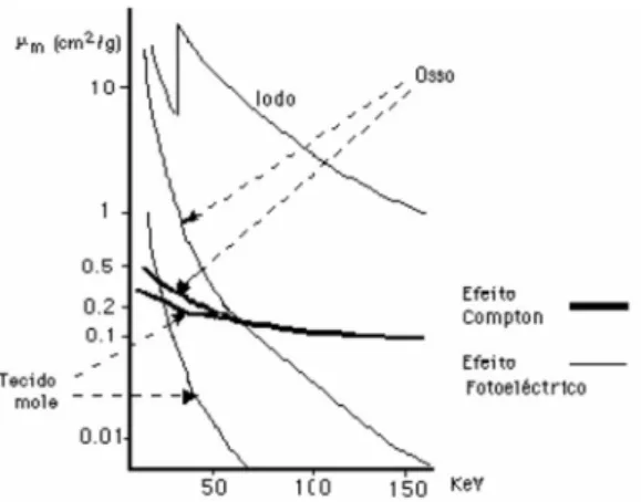 Figura 10 - Probabilidades de interação para o efeito Compton e fotoelétrico para o osso (Z≈20) e tecido mole  (Z≈7,4)  (D