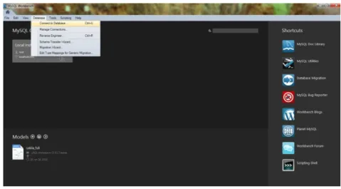 Figura 13: SQL server 