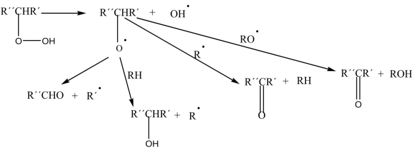 Figura 6 – Produtos secundários da rancidez oxidativa [10]. 