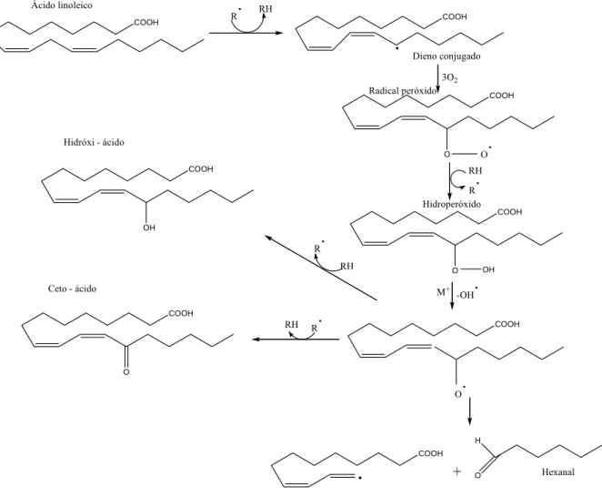 Figura 7 – Peroxidação do ácido oleico, originando um aldeído, hexanal (adaptado da referência 14)
