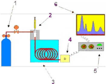 Figura 19 - Esquema ilustrativo de um cromatógrafo a gás [42].