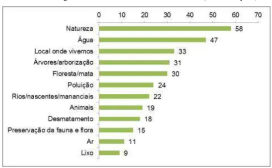 Gráfico 4 - Significado do T ermo “Meio Ambiente” (n o  de citações) 