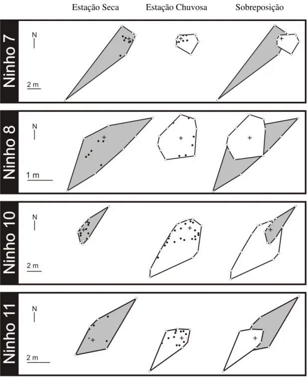 FIGURA  7.  Variação  sazonal  da  área  de  vida  de  quatro  ninhos  de  Pogonomyrmex  naegelii  em  ambiente  de  Cerrado  (amostragem  de  um  dia  para  cada  ninho  em  cada  estação)