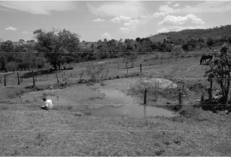 Figura  2.  Lago  artificial  permanente  em  área  de  pastagem  utilizado  por  Leptodactylus labyrinthicus como sítio reprodutivo