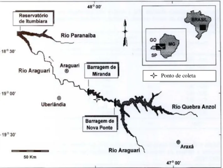 FIGURA 1: Localização geográfica d o  Reservatório de Miranda e do ponto de coleta determinado  na área (adaptado de Vono et al., 2002).