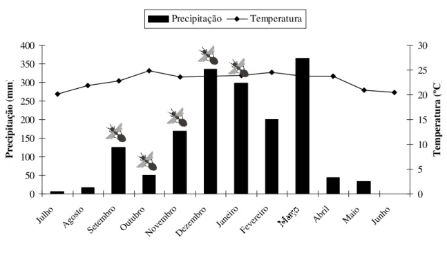 FIGURA  3  -  Precipitação  e  temperatura  anual  relacionas  com  a  revoada  (período  reprodutivo)  de  Camponotus  senex  na  vegetação  de  cerrado  de  Uberlândia,  MG