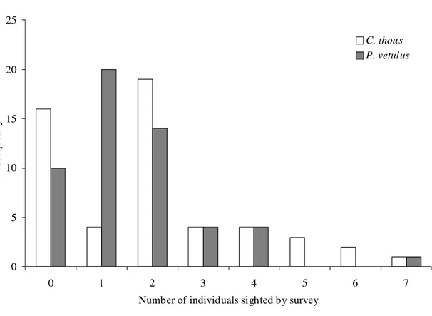 FIGURE 3. Frequency histogram of the number of crab-eating foxes (Cerdocyon thous)  and hoary foxes (Pseudalopex vetulus) sighted by survey (n = 53 field surveys) in  Cumari, Goiás, Brazil