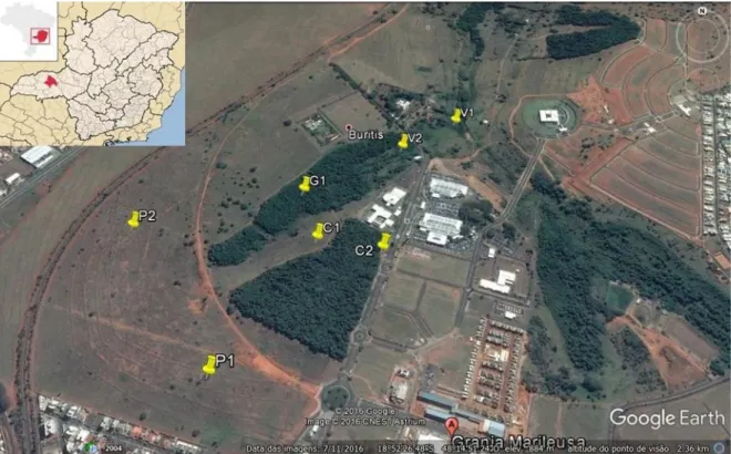 Figura  1.  Área  de  estudo  na  Fazenda Granja  Marileuza,  município  de  Uberlândia-  MG,  com  demarcações  dos  pontos  de  observação  por  mosaico  vegetacional;  veredas  (V1  e  V2),  ponto  misto  compreendendo  cerradão  e  pastagem  (C1),  cer