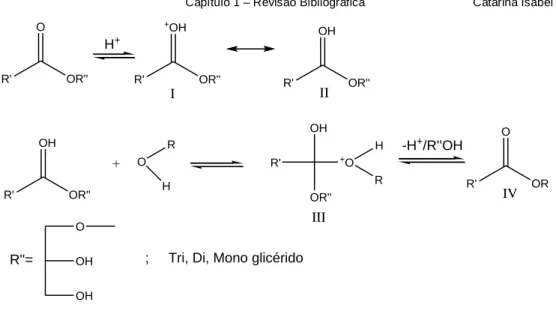 Figura 15 – Mecanismo reacional genérico da reação de esterificação/transesterificação com catalisador  ácido (Schuchardt et al., 1998)