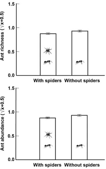 Figure 5. Richness and abundance of ants on  Qualea  multiflora (Vochysiaceae) trees in the cerrado  vegetation,  with  (n=15)  and  without  (n=15)  the  presence  of  spiders