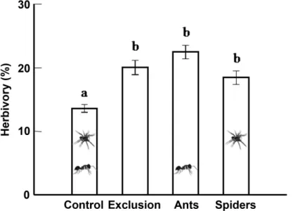 Figure  10.  Percentage  of  herbivory  in  Qualea  multiflora  (Vochysiaceae)  trees  of  four  distinct  treatments  (Control  Group  –  plants  with  free  access  to  ants  and  spiders;  Exclusion  Group  –  plants  without  ants  and  spiders;  Ant  