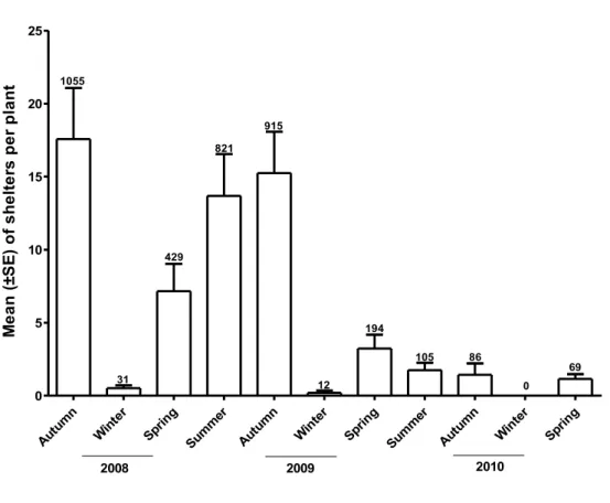 Figure 6. Infestation of  Cerconota achatina  (Lepidoptera: Oecophoridae), recorded by the  number of shelters present on plants (N = 60) of Byrsonima intermedia (Malpighiaceae) in a  cerrado vegetation area in SE-Brazil, between 2008 and 2010