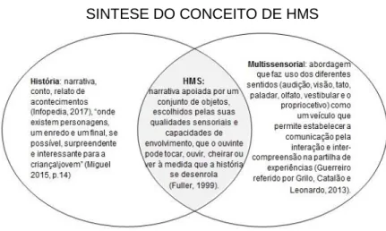 Figura 2. Síntese do conceito de HMS.