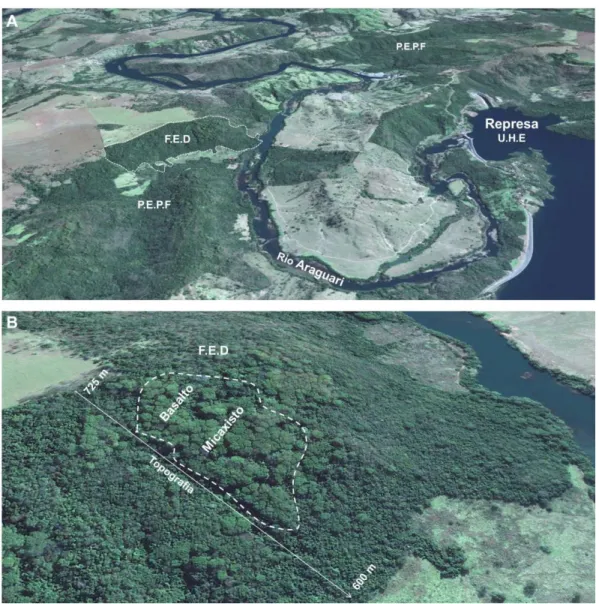 Figura 1  –  Matriz de entorno do fragmento de floresta estacional decidual (FED), localizado no  PEPF,  Uberlândia,  MG  (A)  e  o  local  de  estudo  com  esquema  para  a  área  de  distribuição  das  parcelas no gradiente edáfico e topográfico da FED (