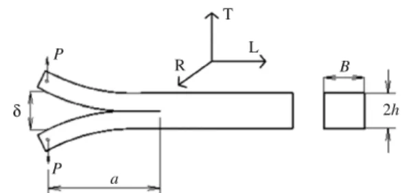 Fig. 1 – Sketch of the Double Cantilever Beam (DCB) test (L is the longitudinal direction, R is the radial direction, and T is the tangential direction of the femur).