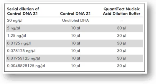 Table 4 - Serial dilutions of the Control DNA Z1 for quantitation purposes (Qiagen, 2011a).