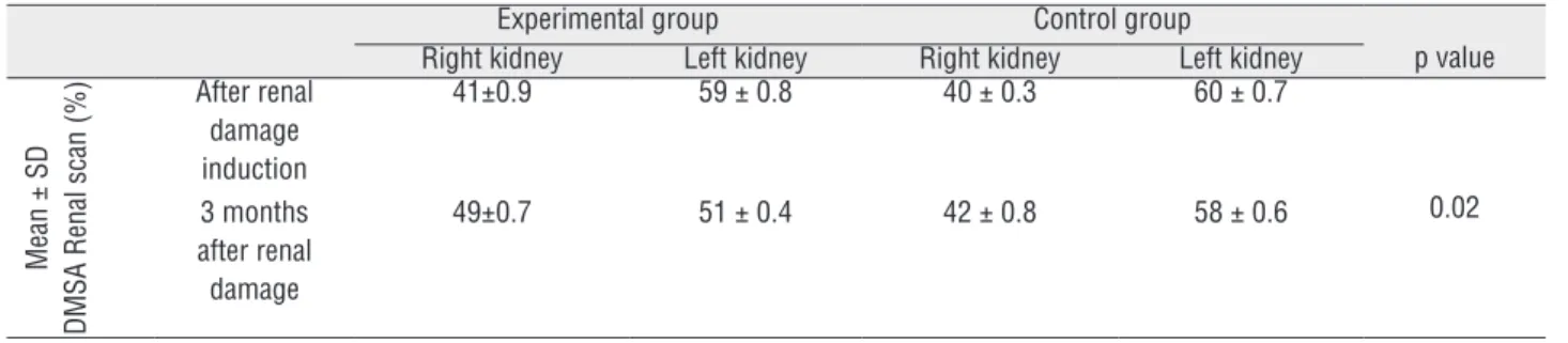 Table 1 - Comparing the renal function after renal damage induction and 3 months postoperatively in pregnant (experimental  group) and non-pregnant (control group) rats.