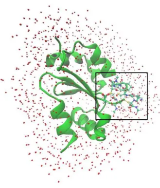 Fig. 10: The optimized hGrx:GSSG complex with the water molecules represented as red dots